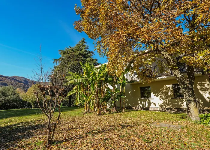 La Magnolia