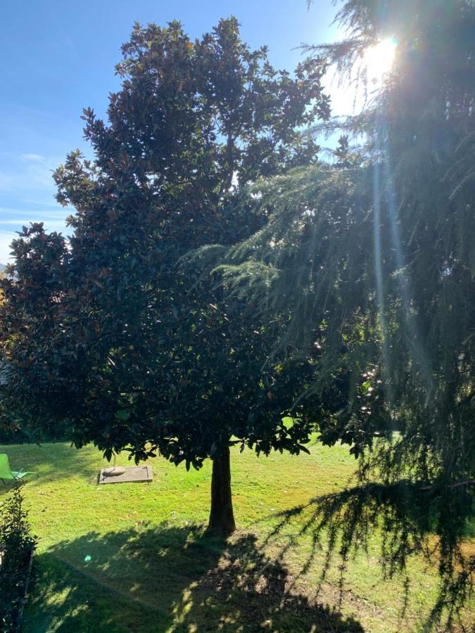 Сasa de vacaciones La Magnolia Calolziocorte
