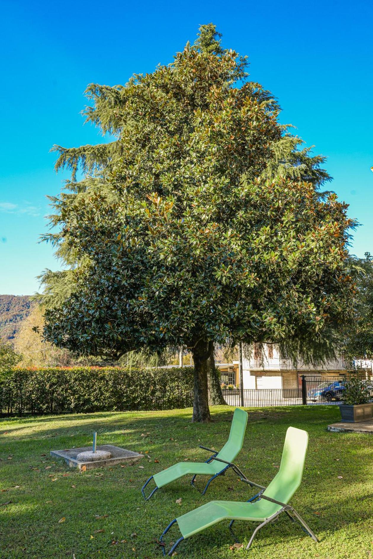 Сasa de vacaciones La Magnolia